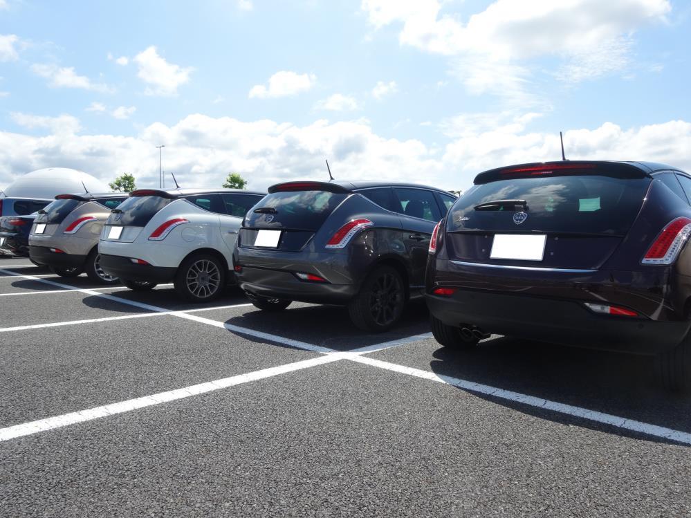 DSC00821 - コピー.JPG